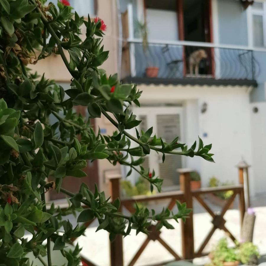 Hotel Муданья Екстер'єр фото